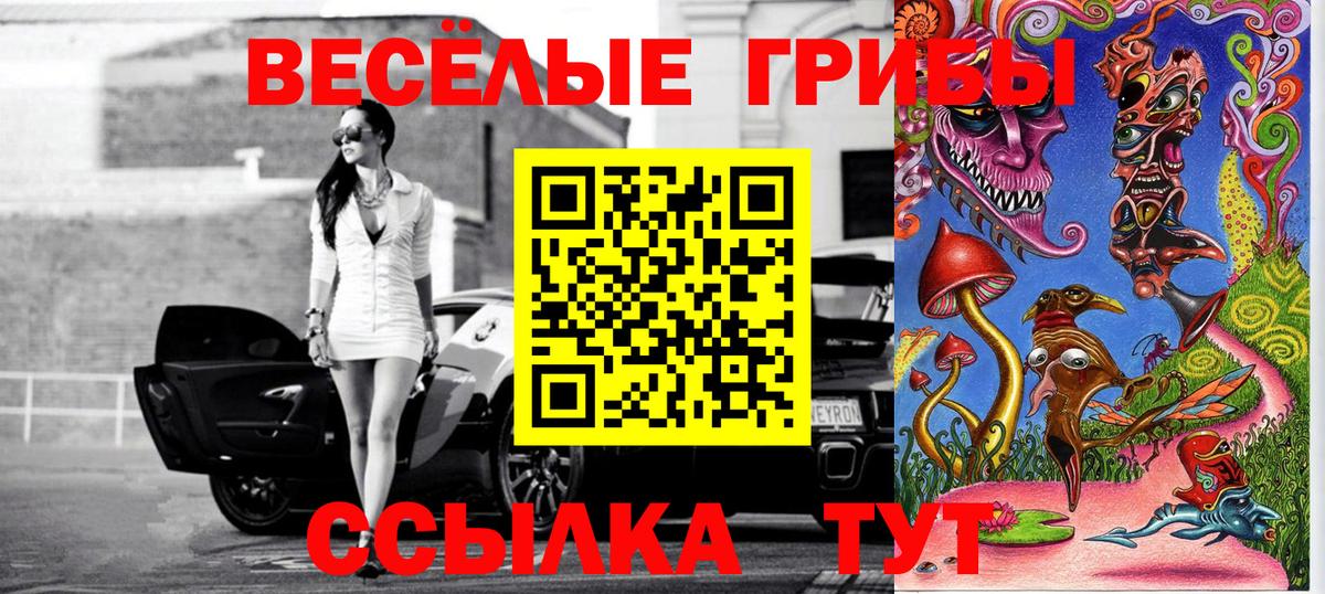 Галлюциногенные грибы MAGIC MUSHROOMS  Вход с VPN  Димитровград 