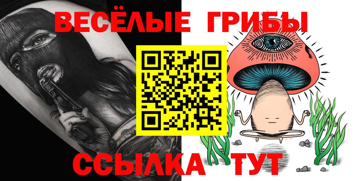 Псилоцибиновые грибы Cubensis Димитровград